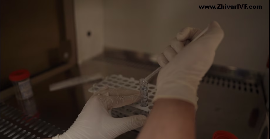 مرکز تشخیص ناباروری ژیوار